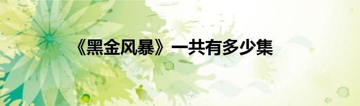 《黑金风暴》一共有多少集