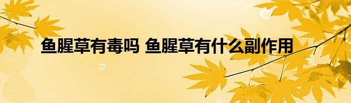 鱼腥草有毒吗 鱼腥草有什么副作用