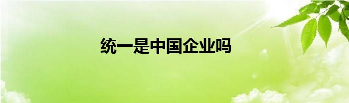 统一是中国企业吗