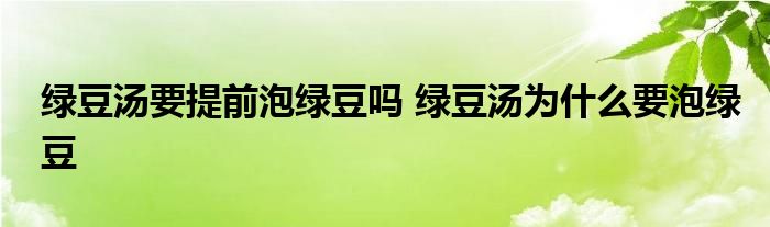 绿豆汤要提前泡绿豆吗 绿豆汤为什么要泡绿豆
