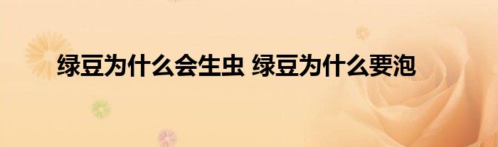 绿豆为什么会生虫 绿豆为什么要泡
