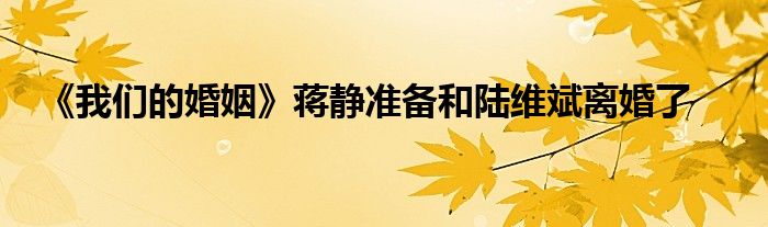 《我们的婚姻》蒋静准备和陆维斌离婚了