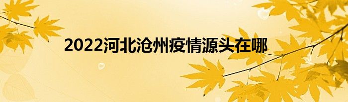 2022河北沧州疫情源头在哪