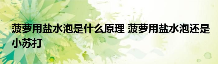 菠萝用盐水泡是什么原理 菠萝用盐水泡还是小苏打