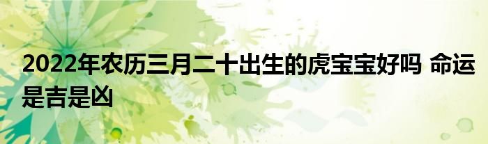 2022年农历三月二十出生的虎宝宝好吗 命运是吉是凶