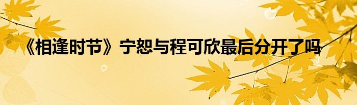 《相逢时节》宁恕与程可欣最后分开了吗