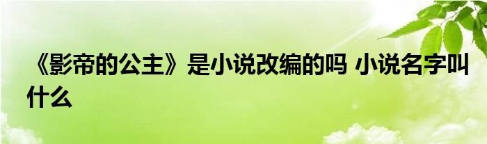 《影帝的公主》是小说改编的吗 小说名字叫什么