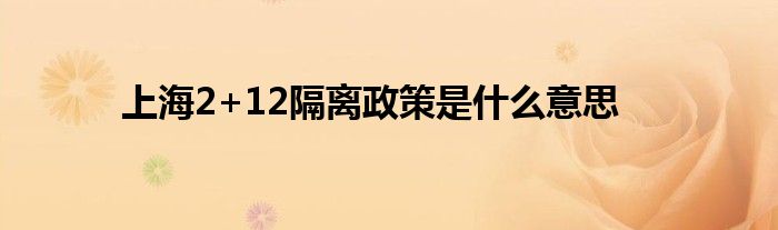 上海2+12隔离政策是什么意思