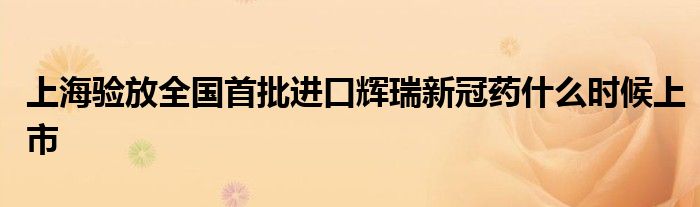 上海验放全国首批进口辉瑞新冠药什么时候上市