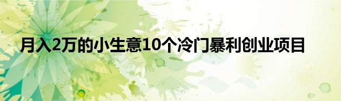 月入2万的小生意10个冷门暴利创业项目