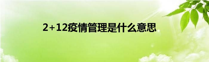 2+12疫情管理是什么意思