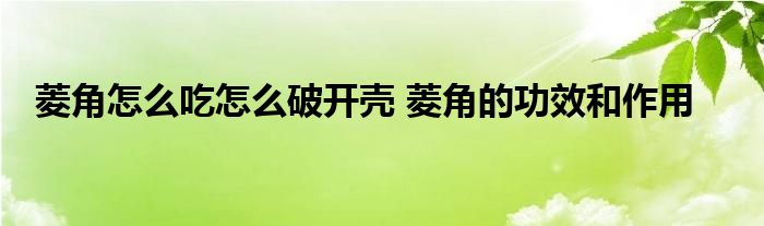 菱角怎么吃怎么破开壳 菱角的功效和作用