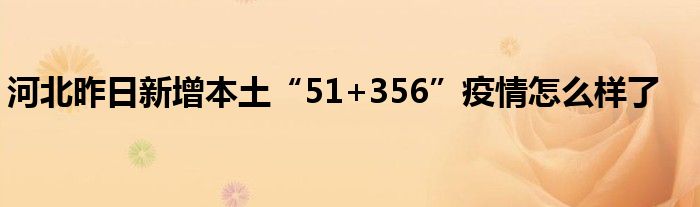 河北昨日新增本土“51+356”疫情怎么样了