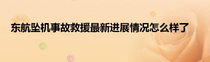 东航坠机事故救援最新进展情况怎么样了