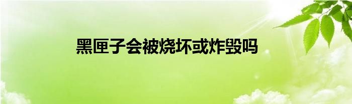 黑匣子会被烧坏或炸毁吗