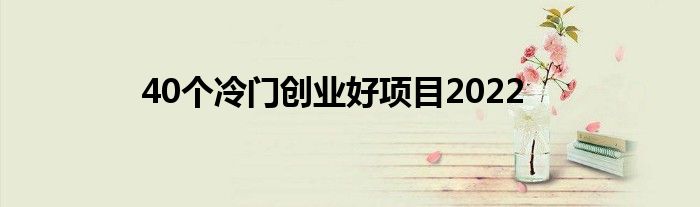 40个冷门创业好项目2022