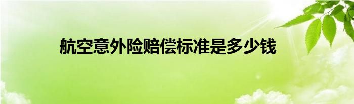 航空意外险赔偿标准是多少钱
