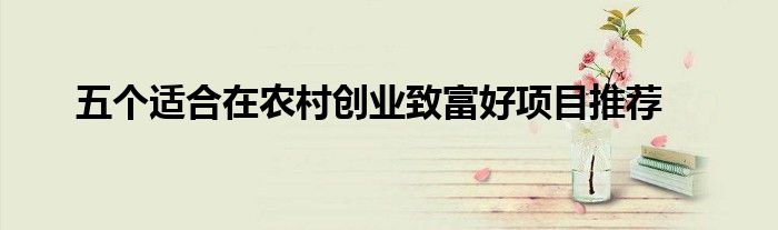 五个适合在农村创业致富好项目推荐
