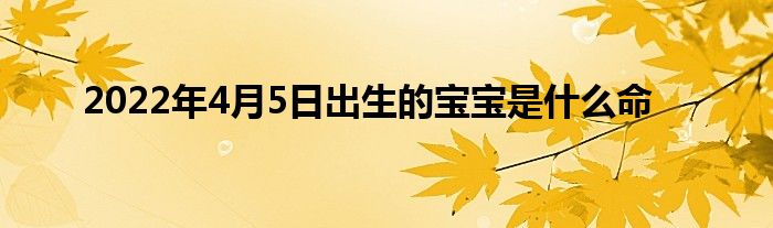 2022年4月5日出生的宝宝是什么命