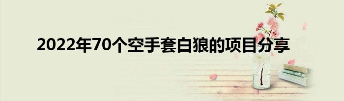 2022年70个空手套白狼的项目分享