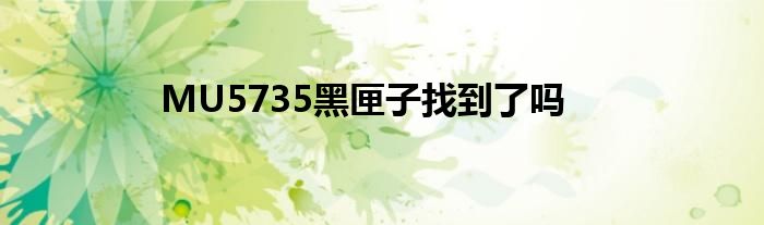 MU5735黑匣子找到了吗