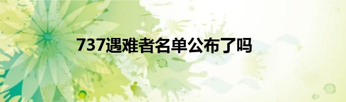 737遇难者名单公布了吗