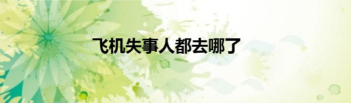 飞机失事人都去哪了