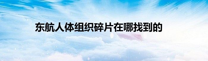 东航人体组织碎片在哪找到的