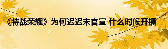 《特战荣耀》为何迟迟未官宣 什么时候开播