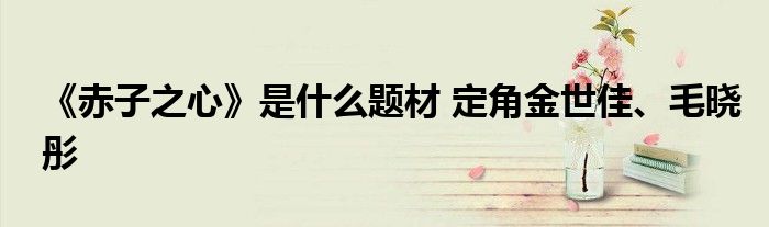 《赤子之心》是什么题材 定角金世佳、毛晓彤
