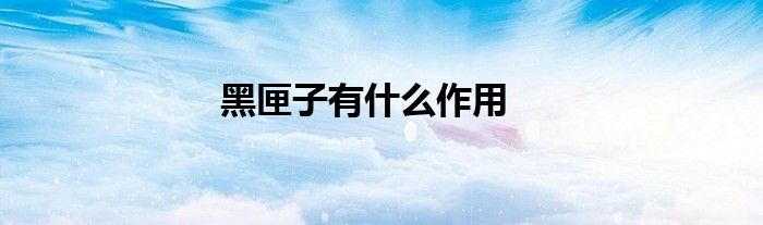 黑匣子有什么作用