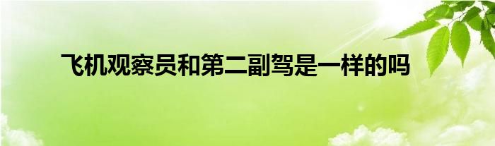 飞机观察员和第二副驾是一样的吗