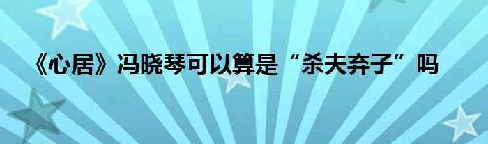 《心居》冯晓琴可以算是“杀夫弃子”吗