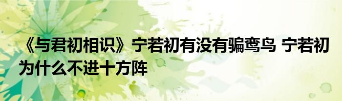 《与君初相识》宁若初有没有骗鸾鸟 宁若初为什么不进十方阵