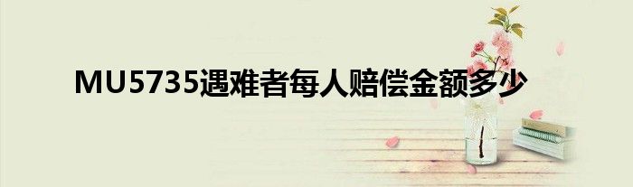 MU5735遇难者每人赔偿金额多少