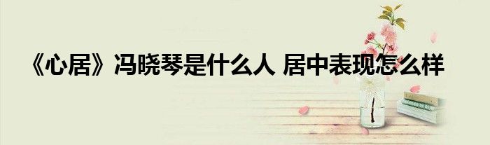 《心居》冯晓琴是什么人 居中表现怎么样