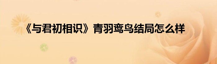《与君初相识》青羽鸾鸟结局怎么样