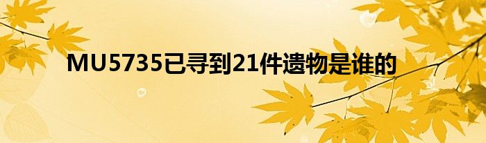 MU5735已寻到21件遗物是谁的