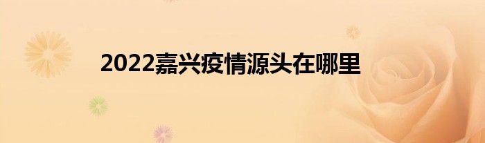 2022嘉兴疫情源头在哪里