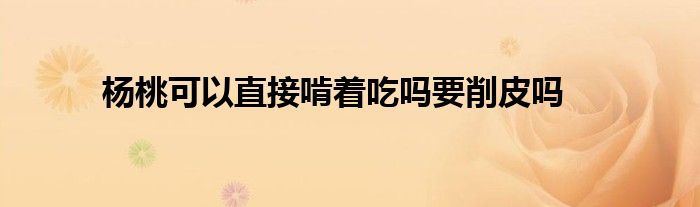 杨桃可以直接啃着吃吗要削皮吗
