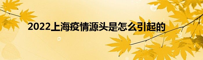2022上海疫情源头是怎么引起的