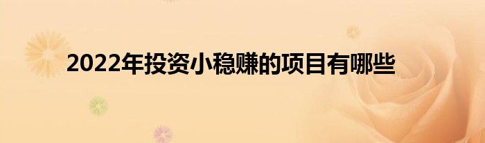 2022年投资小稳赚的项目有哪些