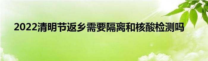 2022清明节返乡需要隔离和核酸检测吗