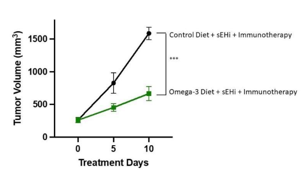 Omega-3可以增强免疫疗法的抗癌能力