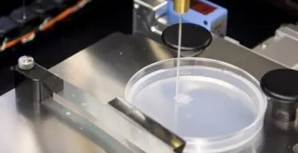 为生物打印 4D 结构开发的新型 Bioink