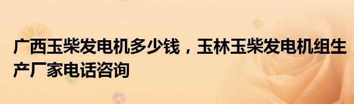 广西玉柴发电机多少钱，玉林玉柴发电机组生产厂家电话咨询