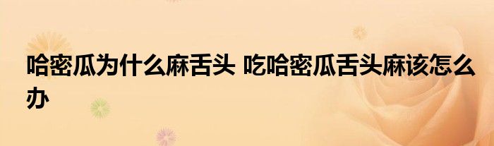 哈密瓜为什么麻舌头 吃哈密瓜舌头麻该怎么办