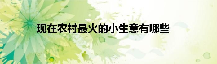 现在农村最火的小生意有哪些