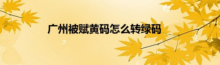 广州被赋黄码怎么转绿码