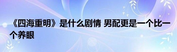 《四海重明》是什么剧情 男配更是一个比一个养眼